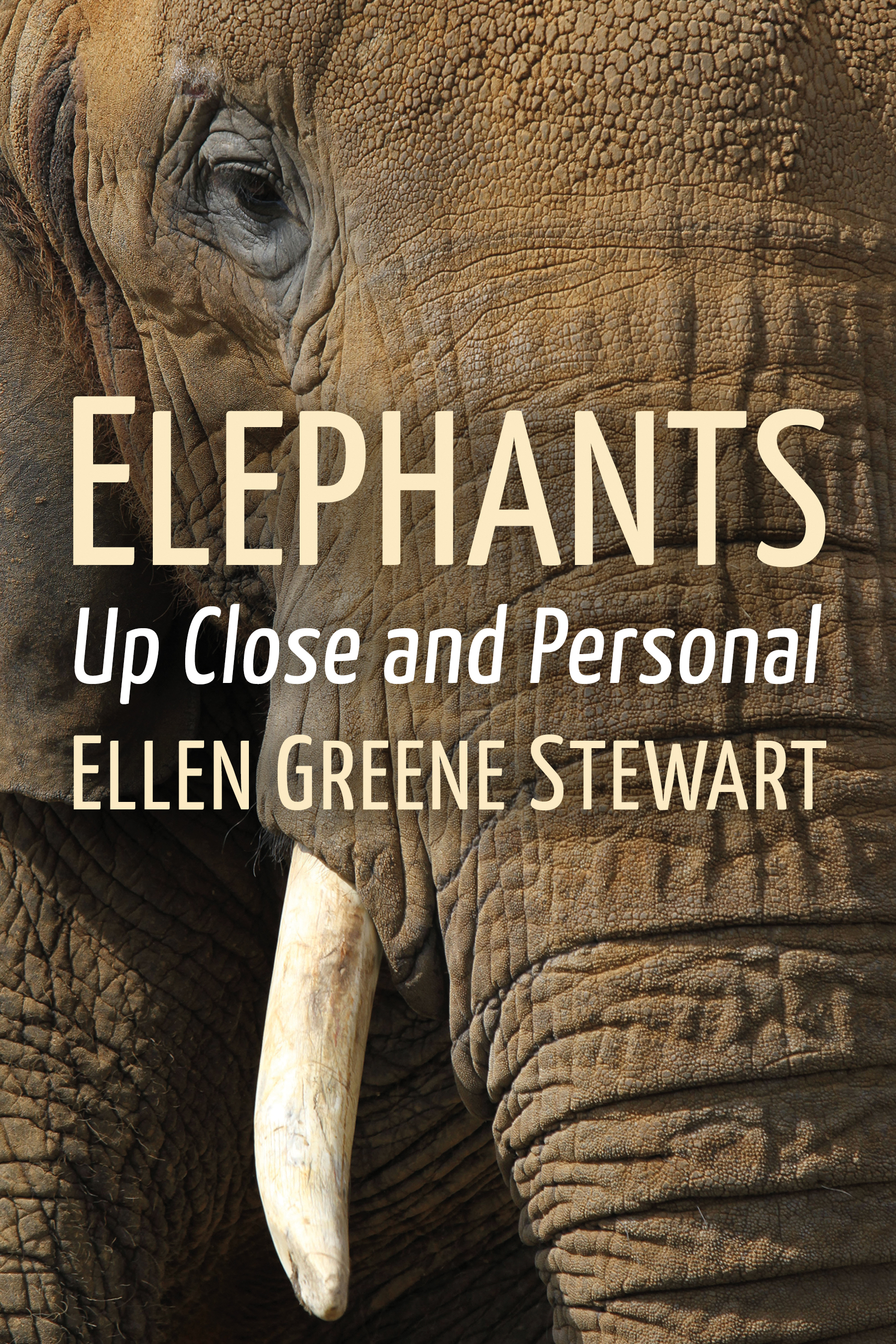 Elephants Elephants Up Close and Personal Ellen Greene Stewart - photo 1