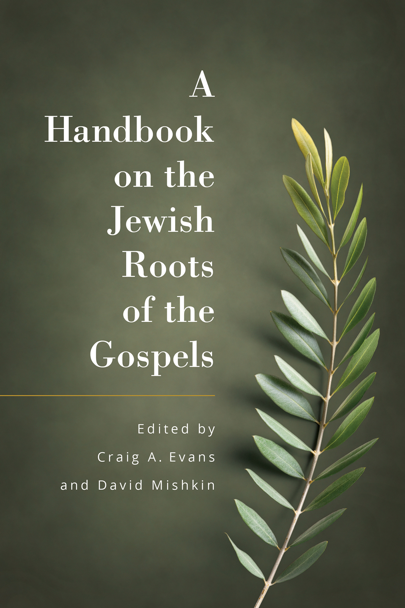 A Handbook on the Jewish Roots of the Gospels ebook edition 2021 by Craig A - photo 1