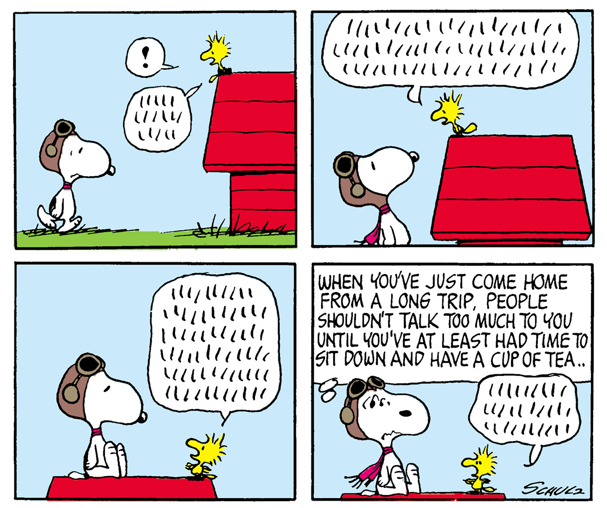 Many Faces of Snoopy - photo 18