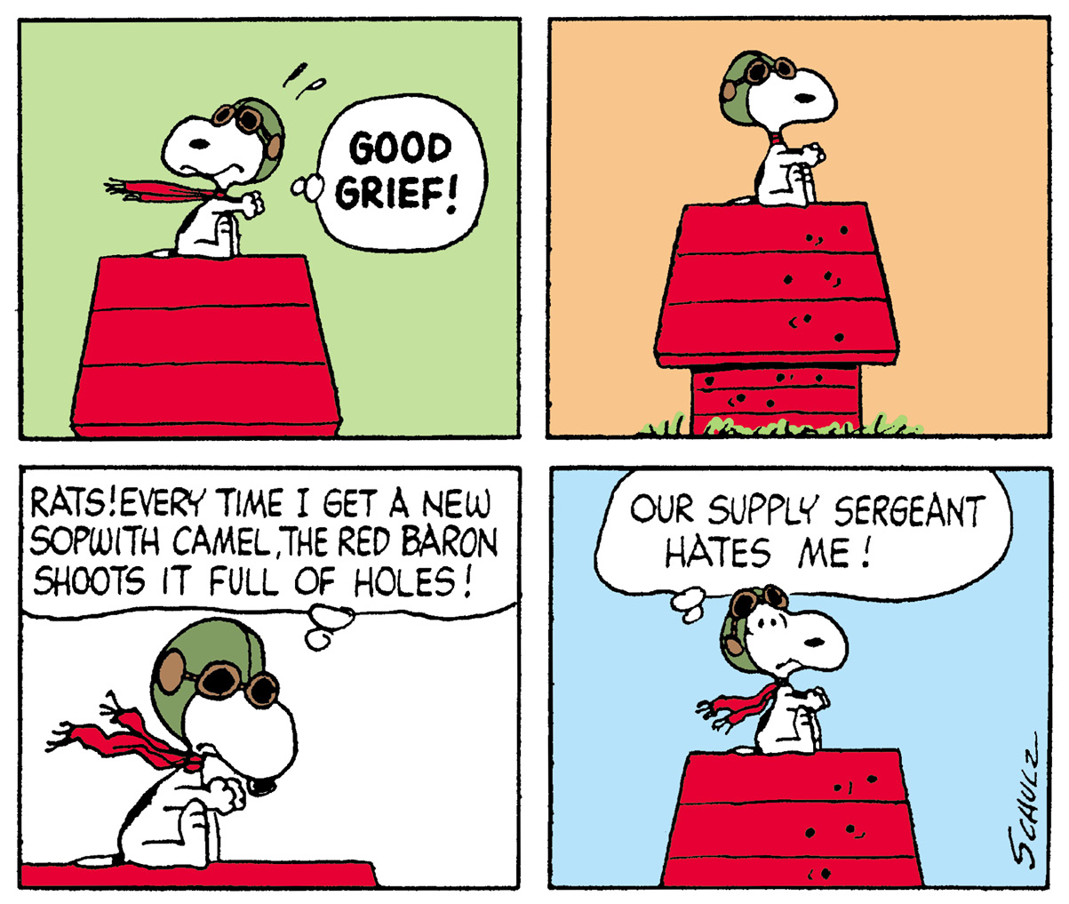 Many Faces of Snoopy - photo 25