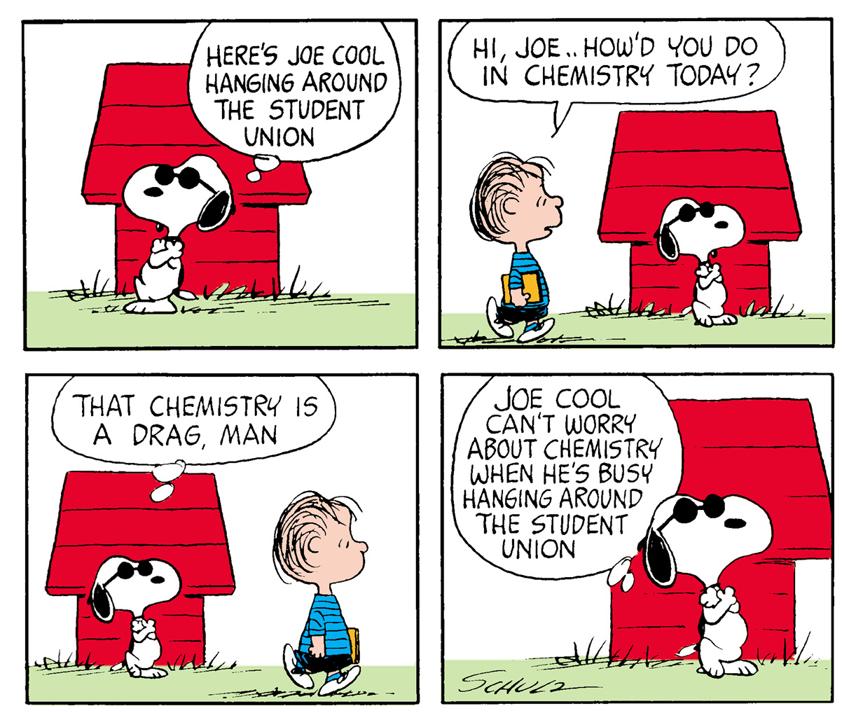 Many Faces of Snoopy - photo 5