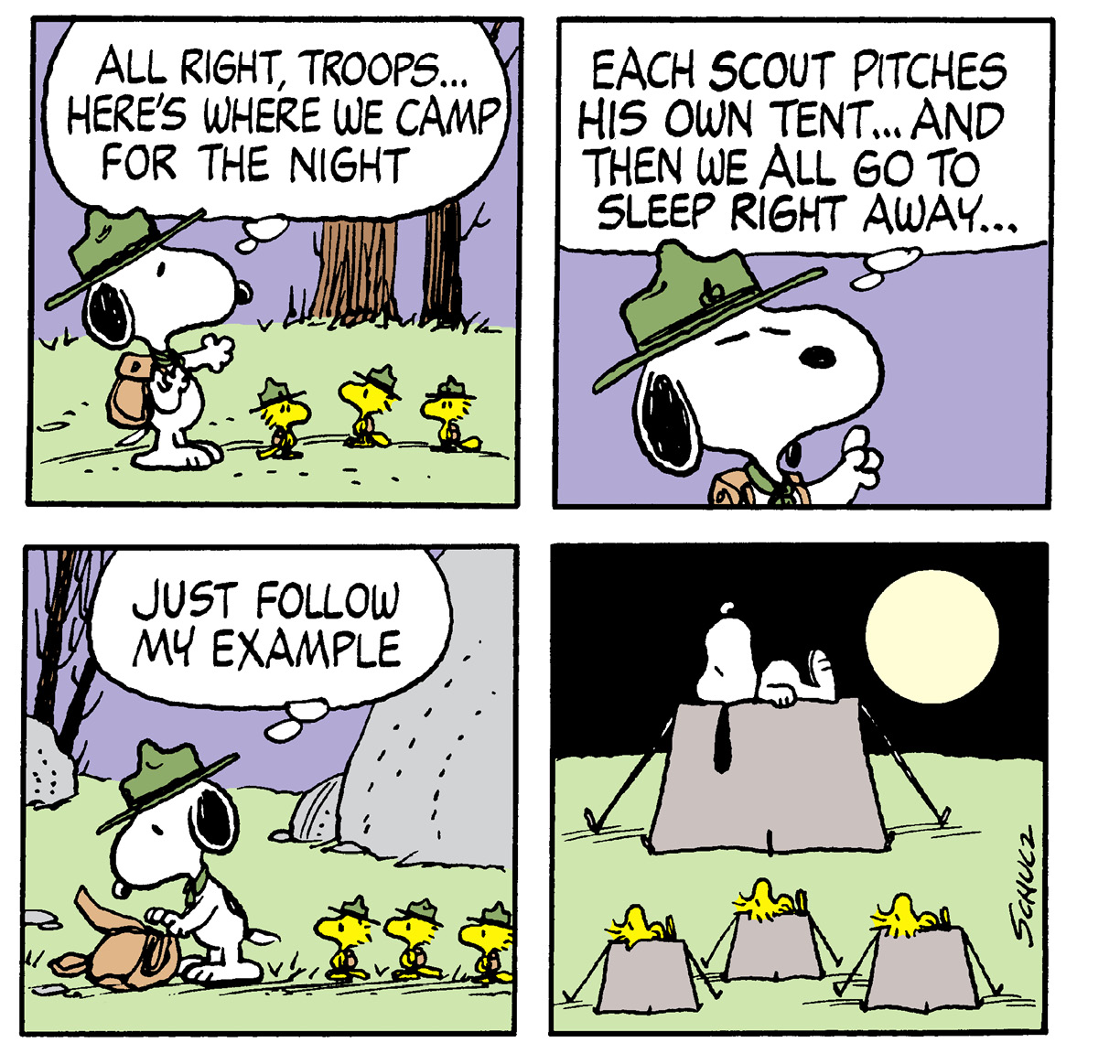 Many Faces of Snoopy - photo 36