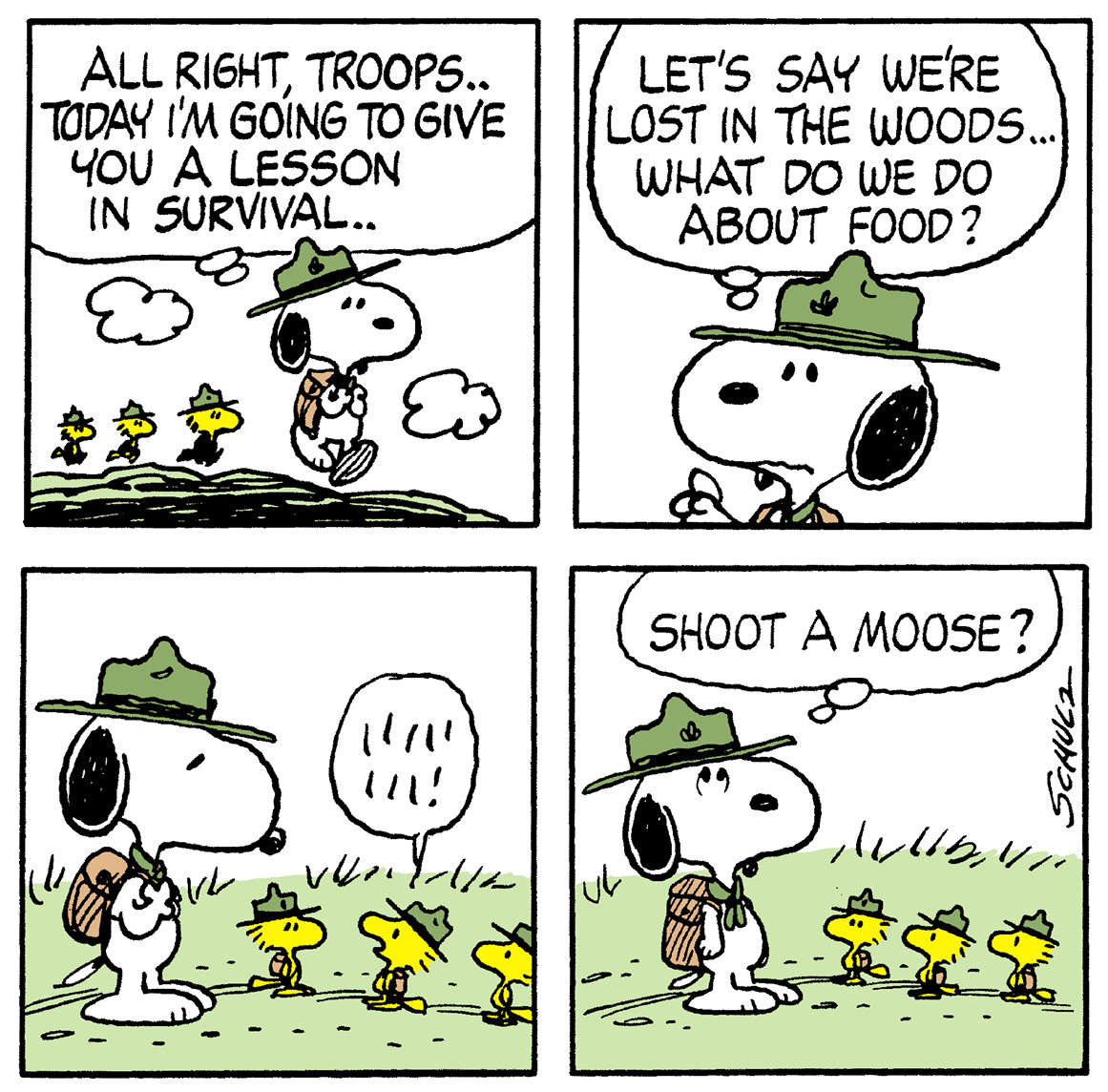 Many Faces of Snoopy - photo 37