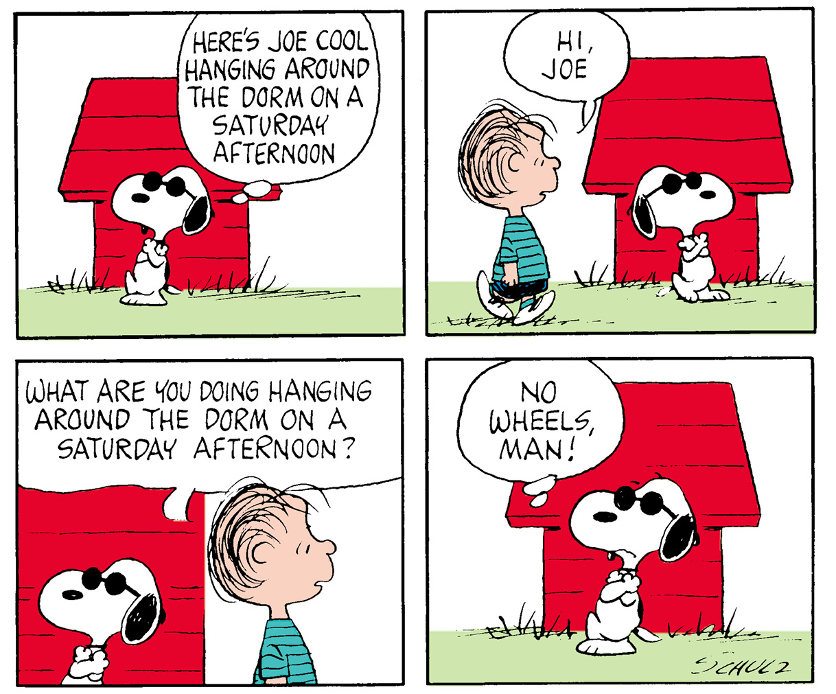 Many Faces of Snoopy - photo 6