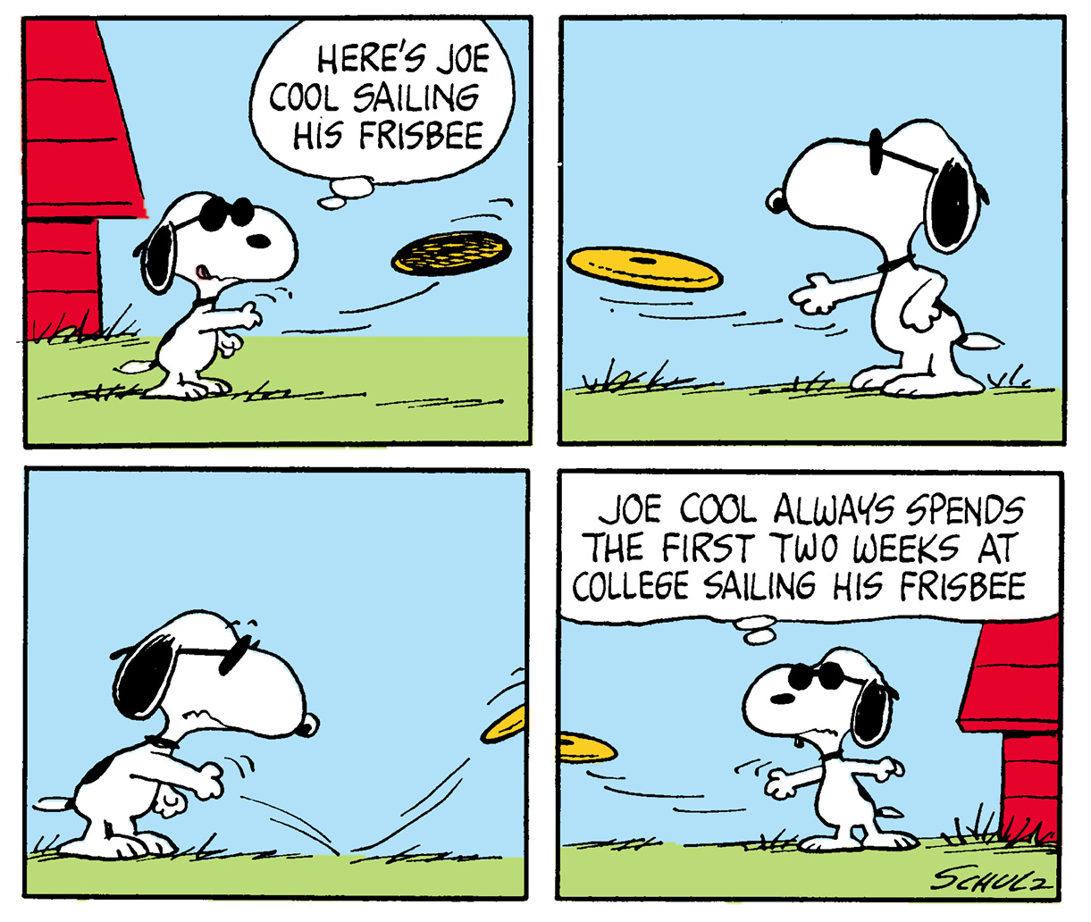 Many Faces of Snoopy - photo 10