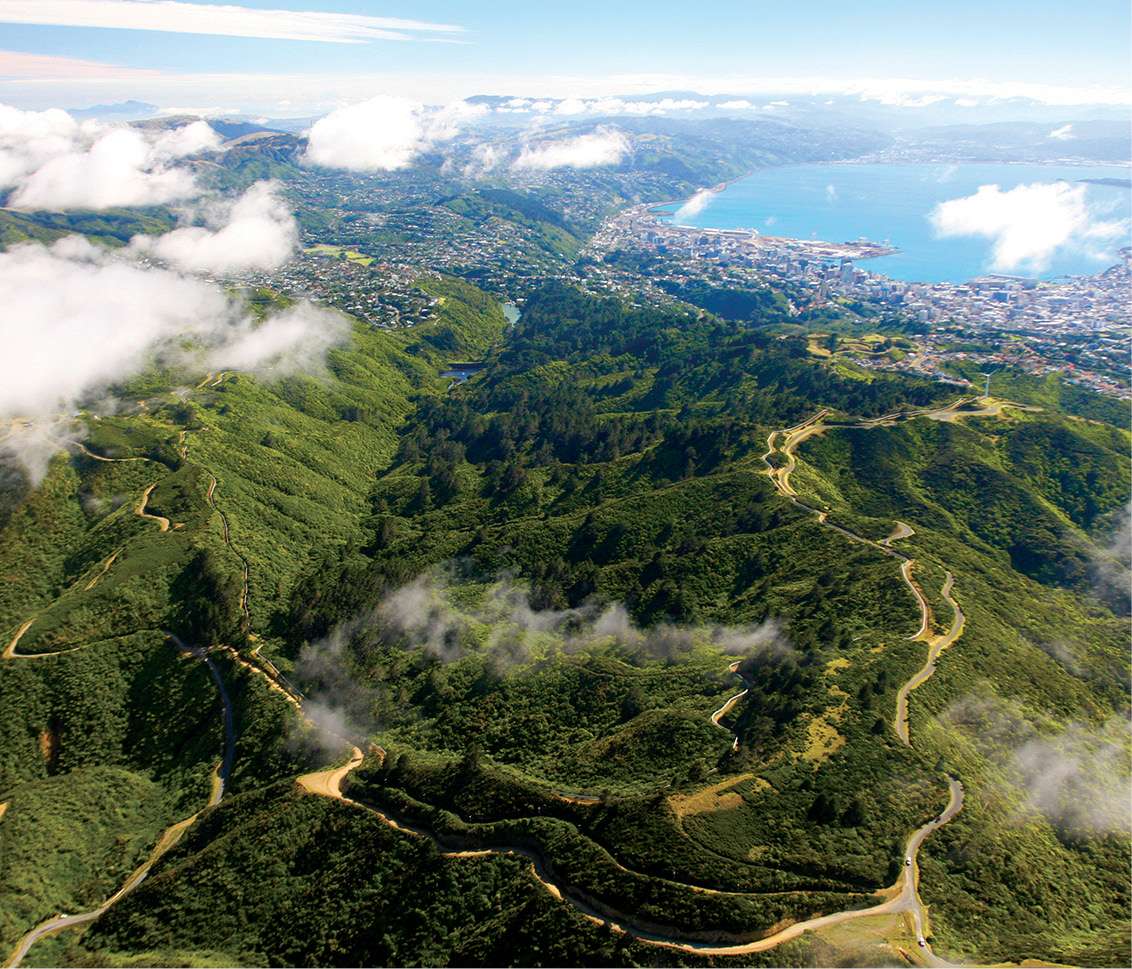 An aerial shot of the ZEALANDIA wildlife sanctuary an innovative wildlife - photo 7