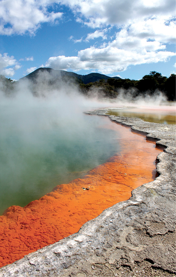 Waiotapuor Sacred Waters see is a hub of geothermal activity The Auckland - photo 10