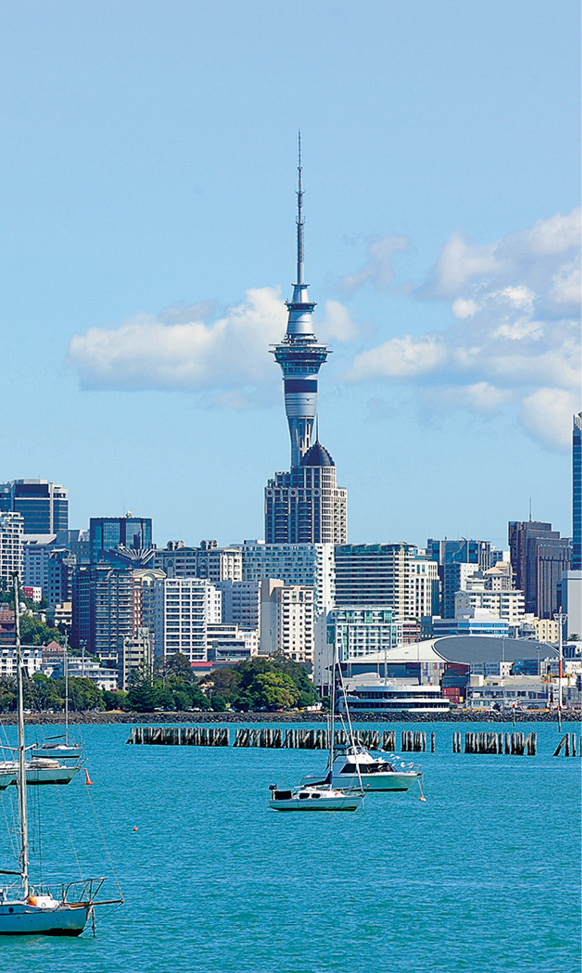 The Auckland cityscape A lemur at the world-class Auckland Zoo A - photo 11