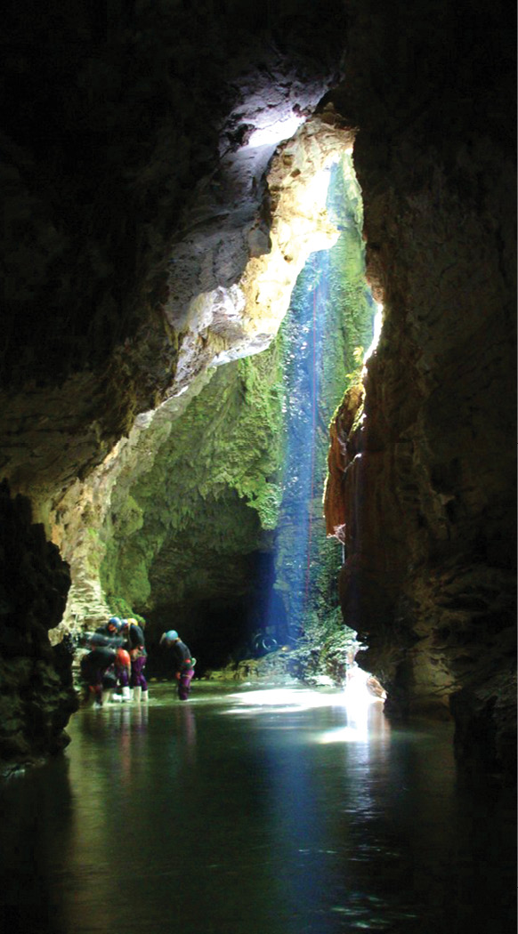 Thousands of glow worms illuminate the famed Waitomo Cave Interactive - photo 16