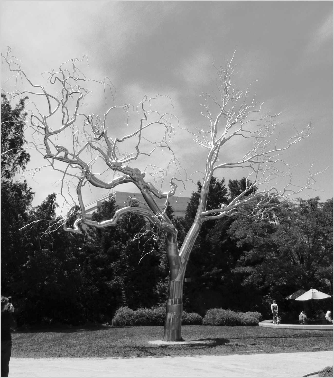 Graft by sculptor Roxy Paine at the National Gallery of Art on the Mall in - photo 4