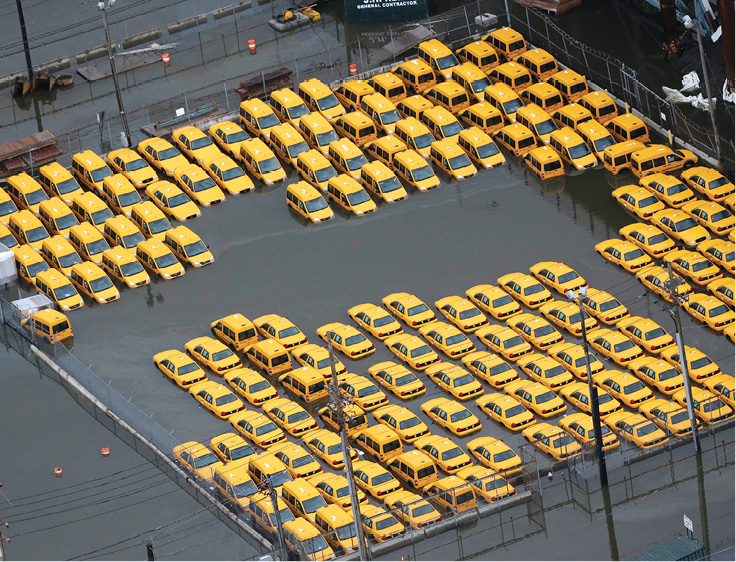 Call em yellow submarines This fleet of taxis would be better off as a fleet - photo 9