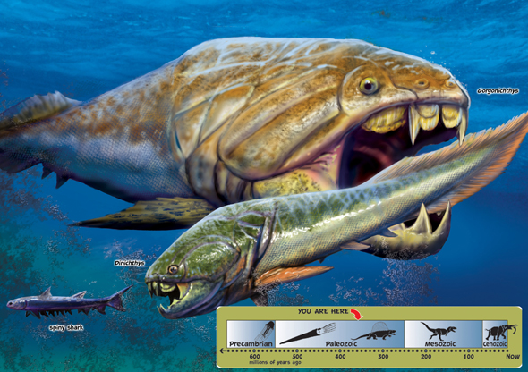 Gorgonichthys had a special joint that let its entire head snap down with - photo 11