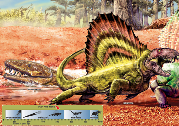 Dimetrodon and its kin had tall fins on their backs The fins made the - photo 14