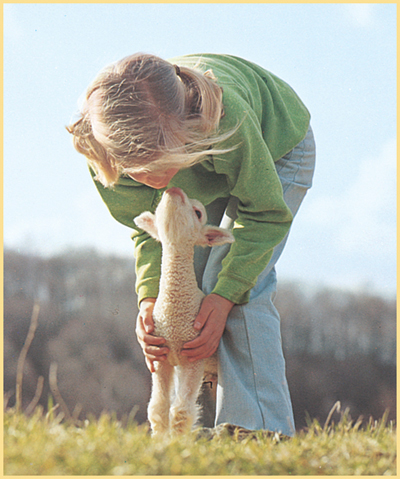 Emmy was so happy she bent over and kissed the little lamb Then she gently - photo 14