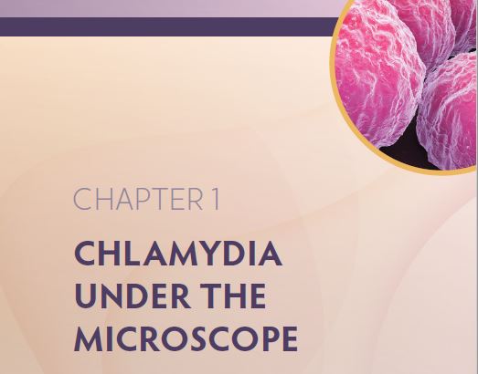 C hlamydia is the most common bacteria-caused STI in the United States - photo 5