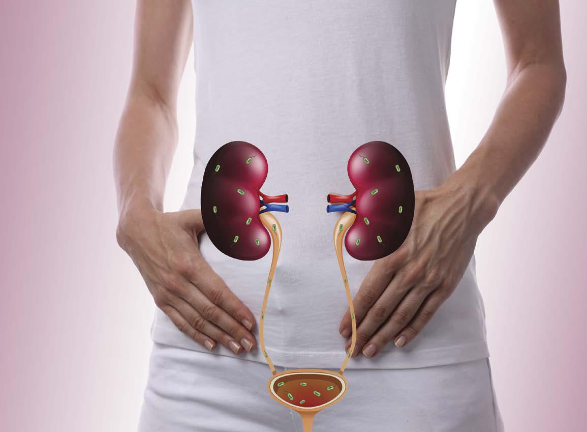 Your two kidneys filter waste substances from the blood and produce urine to - photo 7