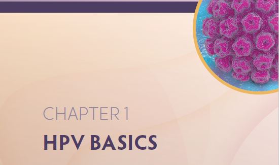 A ccording to the CDC there were an estimated 13 million new HPV infections in - photo 5