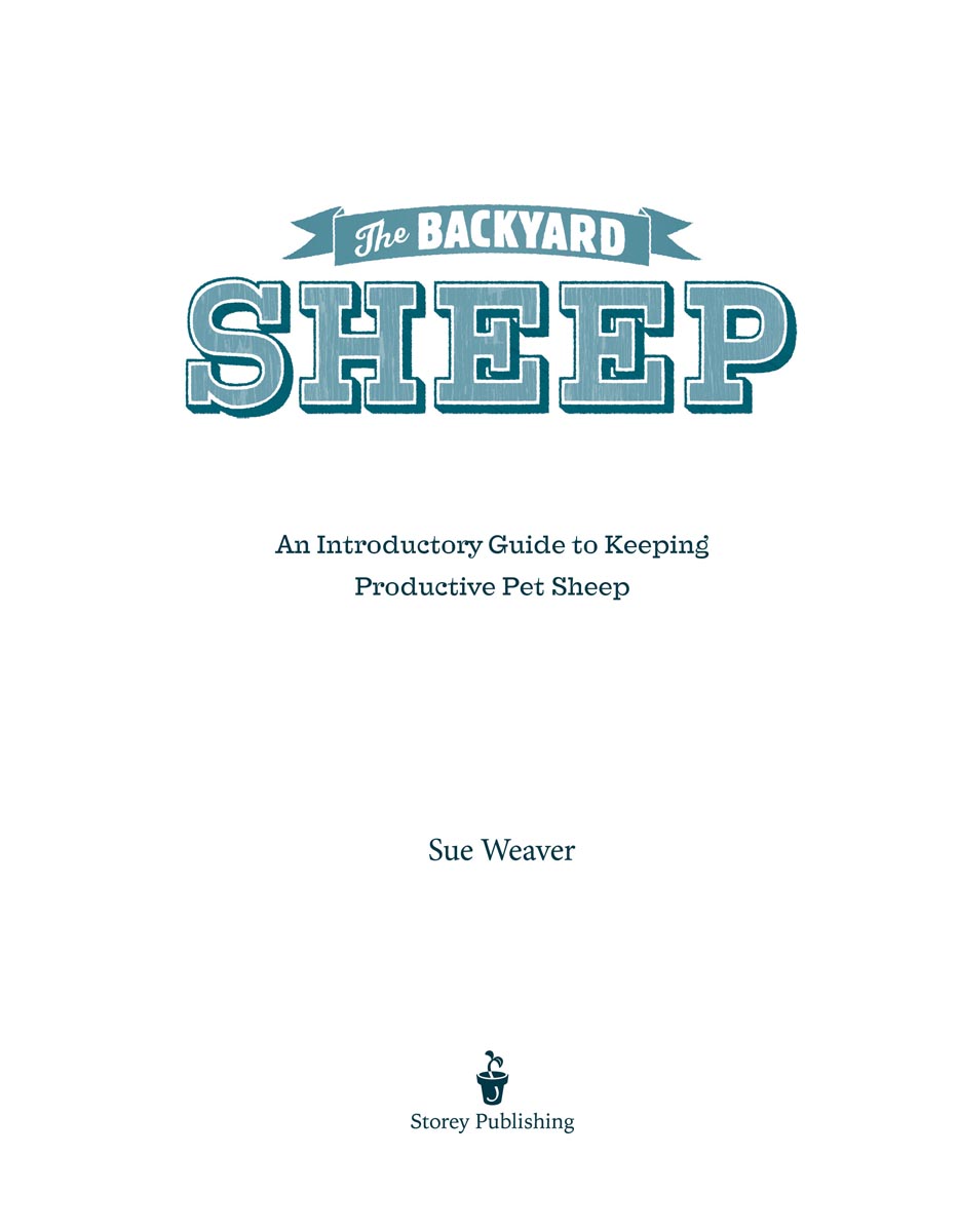 This book is dedicated to Baasha and Baamadeus two great sheep who have - photo 2