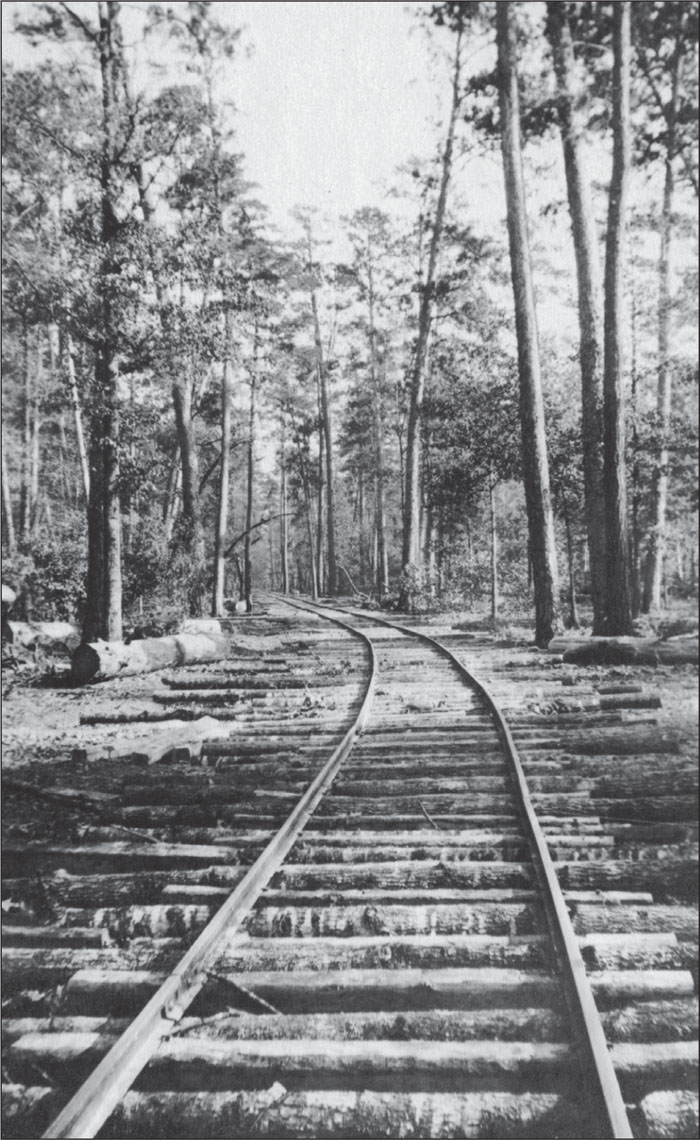 This unknown stretch of tram railroad was photographed by a traveler headed - photo 2