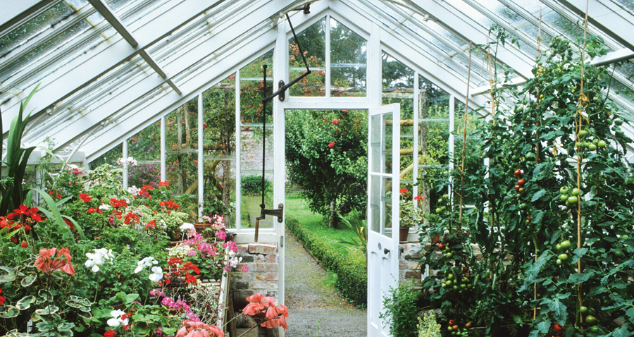 About the Book The greenhouse is one of the most useful tools a gardener can - photo 1