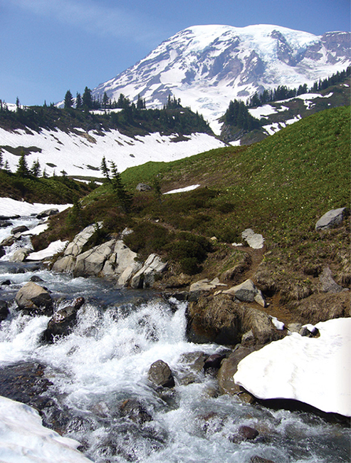 Spring meltwater thunders down countless tributaries at Mount Rainier National - photo 8