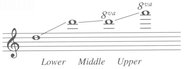 Clef treble Transposition sounds an octave higher than written Timbre - photo 3