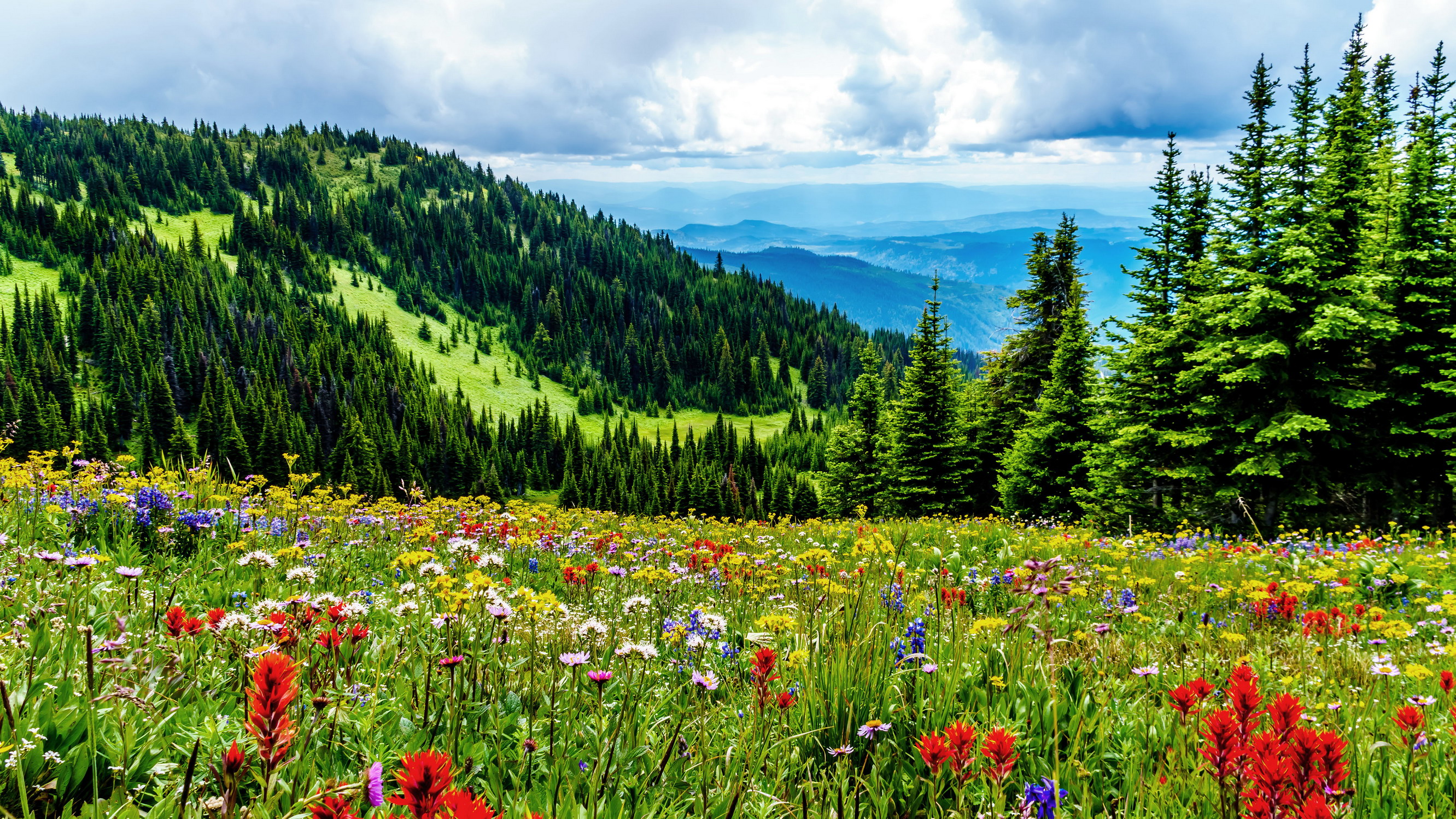 Tod Mountain British Columbia HARRY BEUGELINKSHUTTERSTOCK By John Lee - photo 8