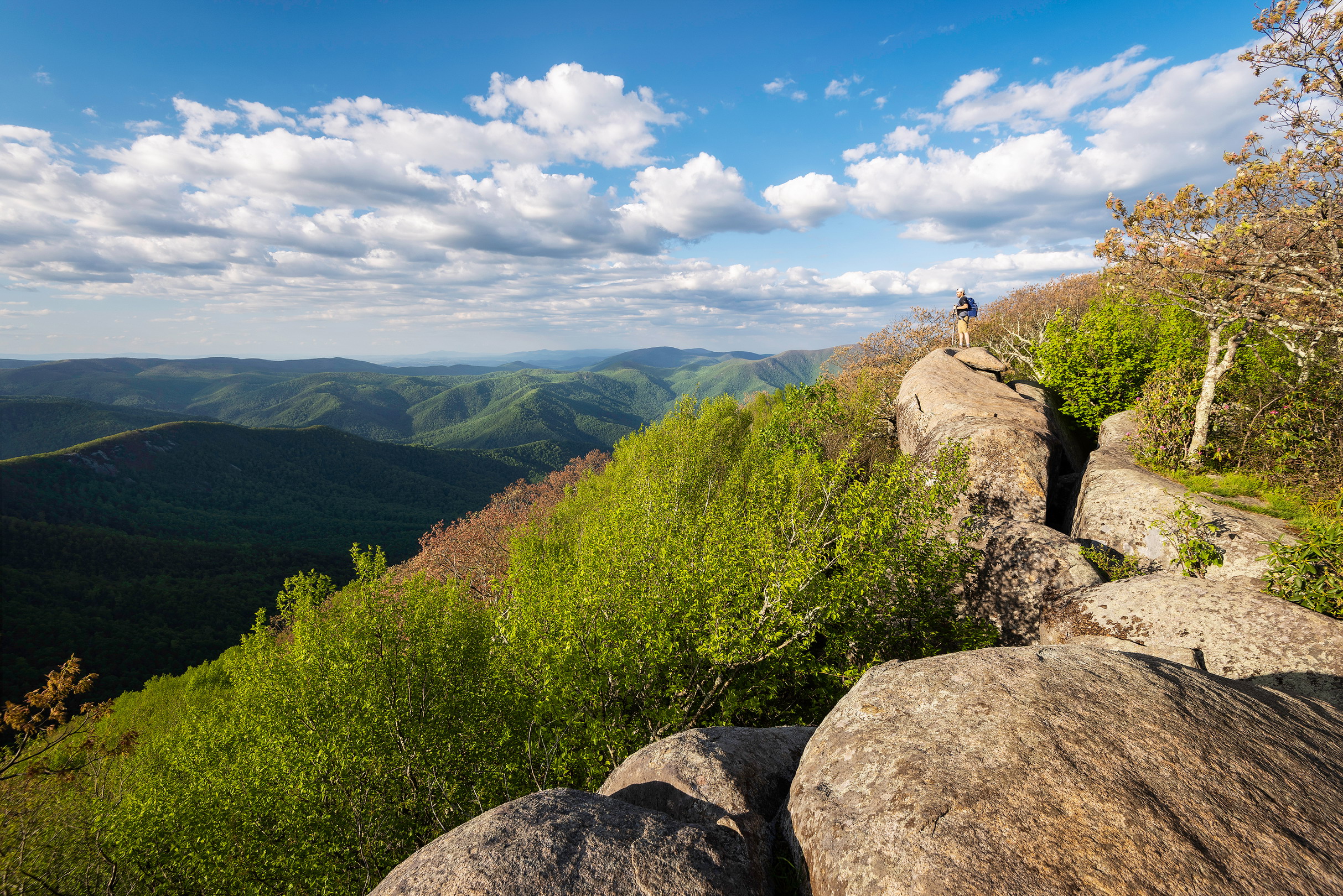 TEMPLENICKSHUTTERSTOCK By Amy C Balfour Writer AmyCBalfour For more - photo 8