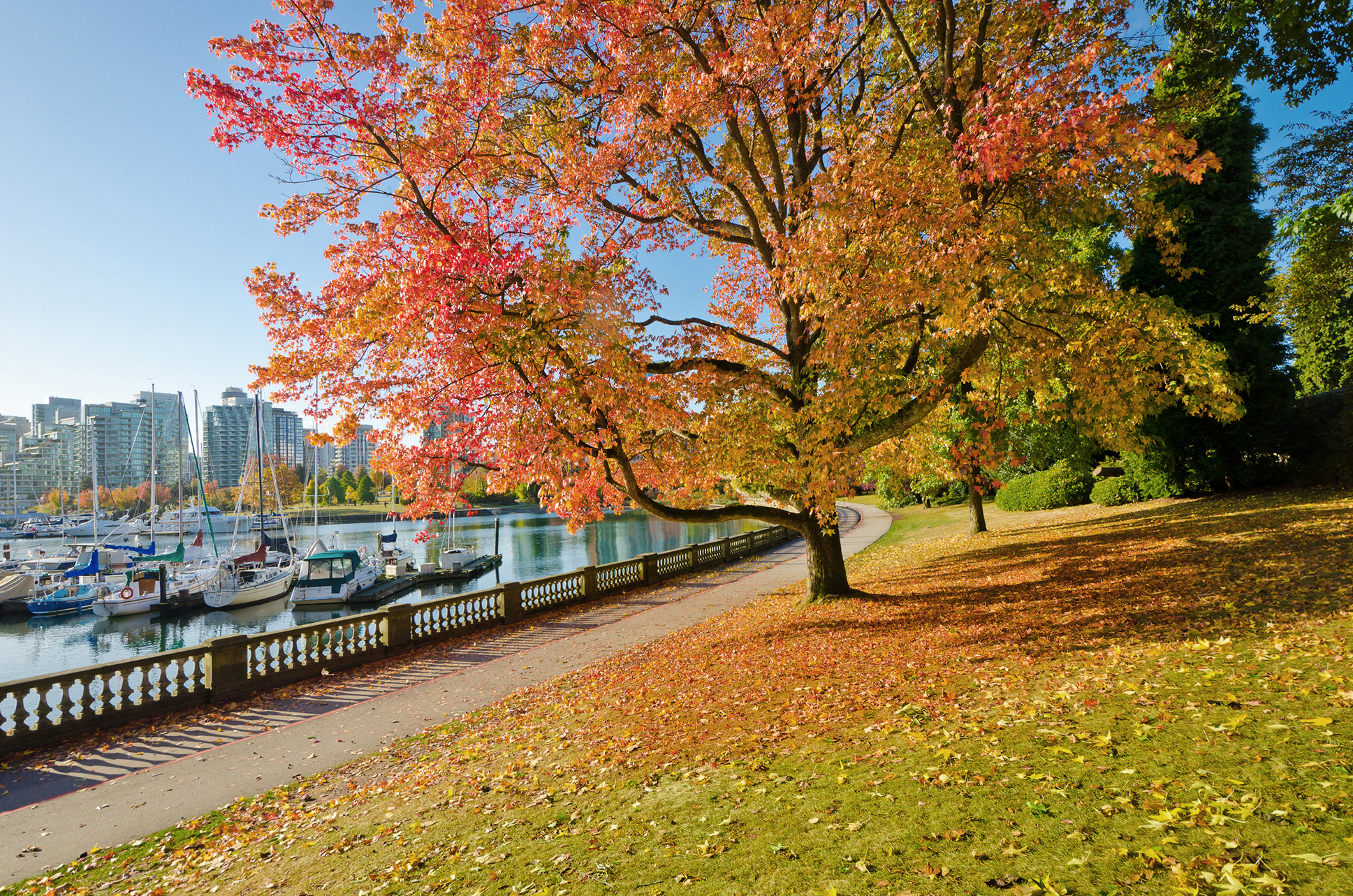 ROMAKOMA SHUTTERSTOCK Vancouvers Top Experiences XUANLU WANG - photo 4