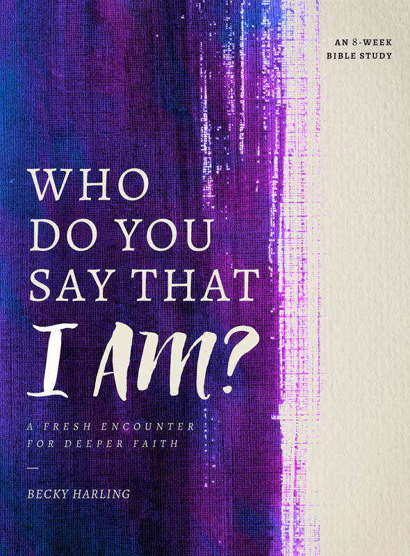 PRAISE FOR WHO DO YOU SAY THAT I AM Whenever Jesus made a Great I Am - photo 1