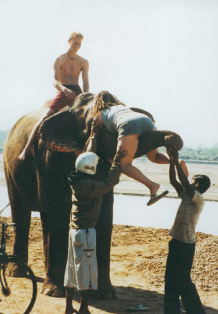 Shes got trunk in the junk In the jungles of Nepals Royal Chitwan National - photo 4