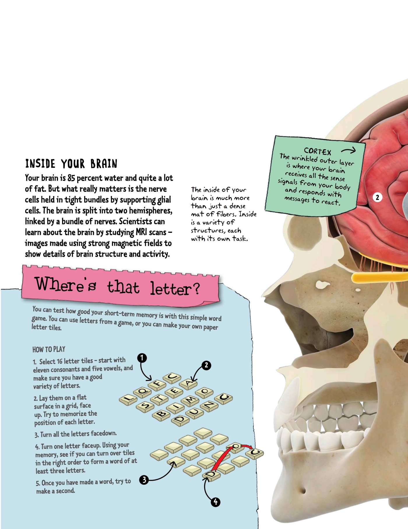 GET THE MESSAGE Your nervous system is your bodys control system Its like a - photo 20