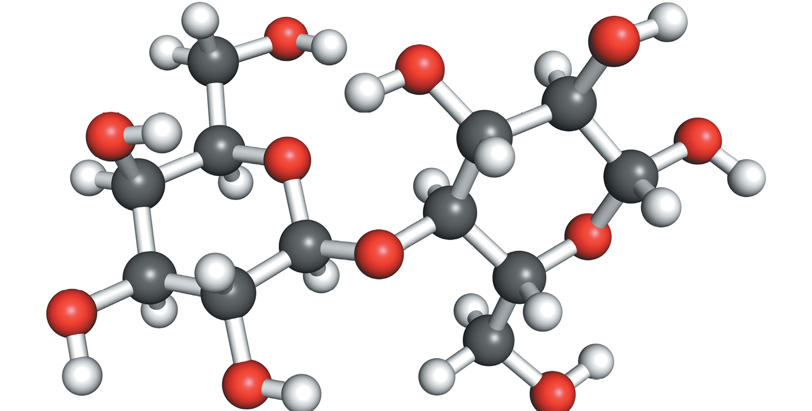 E for electron - photo 5