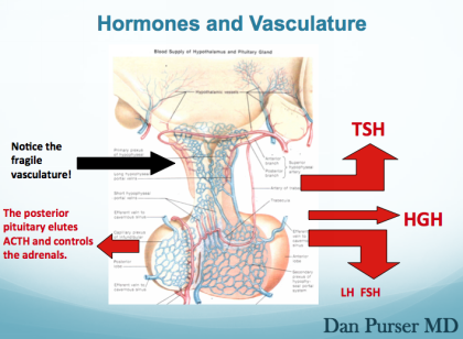 Menopause can be natural the average age for natural menopause in the USA is - photo 2