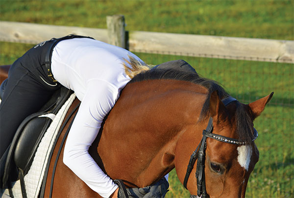 I dedicate this book to the countless horses who have taught me these past many - photo 3