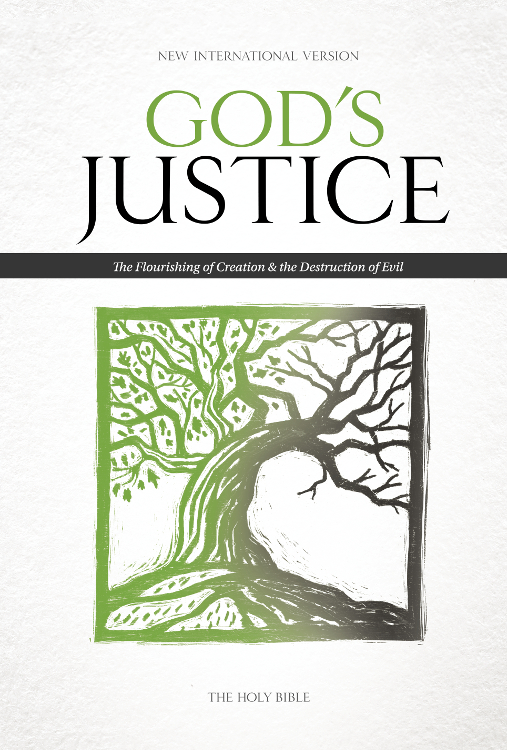 NEW INTERNATIONAL VERSION GODS JUSTICE The Flourishing of Creation the - photo 1