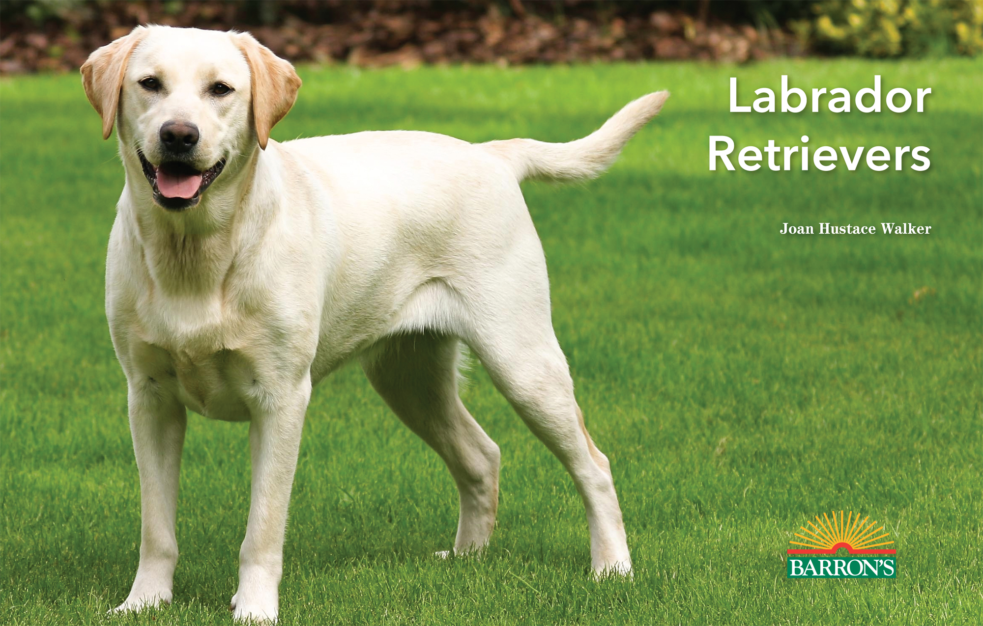 The earliest origins of the Labrador Retriever are thought to have developed - photo 1