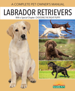 Joan H. Walker Labrador Retrievers: A Complete Pet Owners Manual