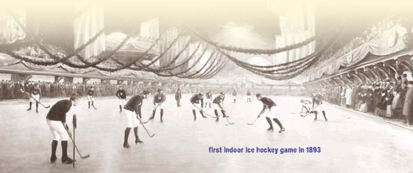 Hockey pucks are actually frozen before a National Hockey League NHL game to - photo 4