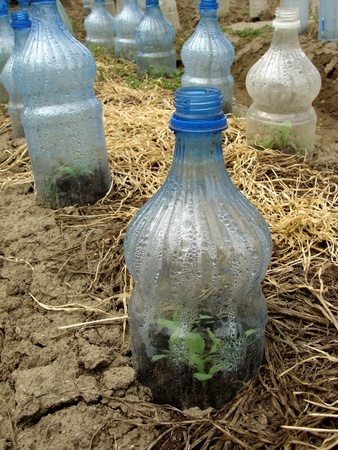 Excellent greenhouse effect obtained from plasticbottles Many up-to-date market - photo 6