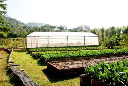 So if you do add a really nice heating systemto your greenhouse it is possible - photo 7