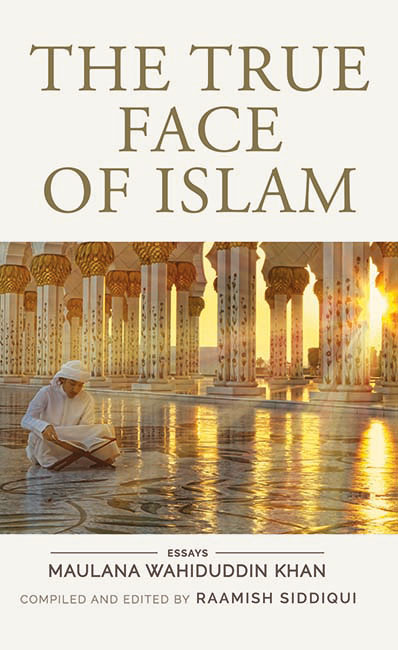 The True Face of Islam Essays - image 1