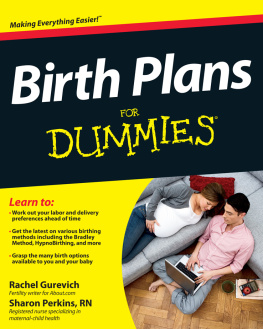 Rachel Gurevich - Birth Plans For Dummies