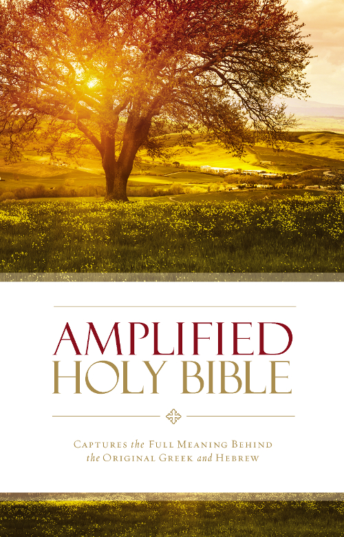 Amplified Holy Bible Captures the Full Meaning Behind the Original Greek and Hebrew - image 1