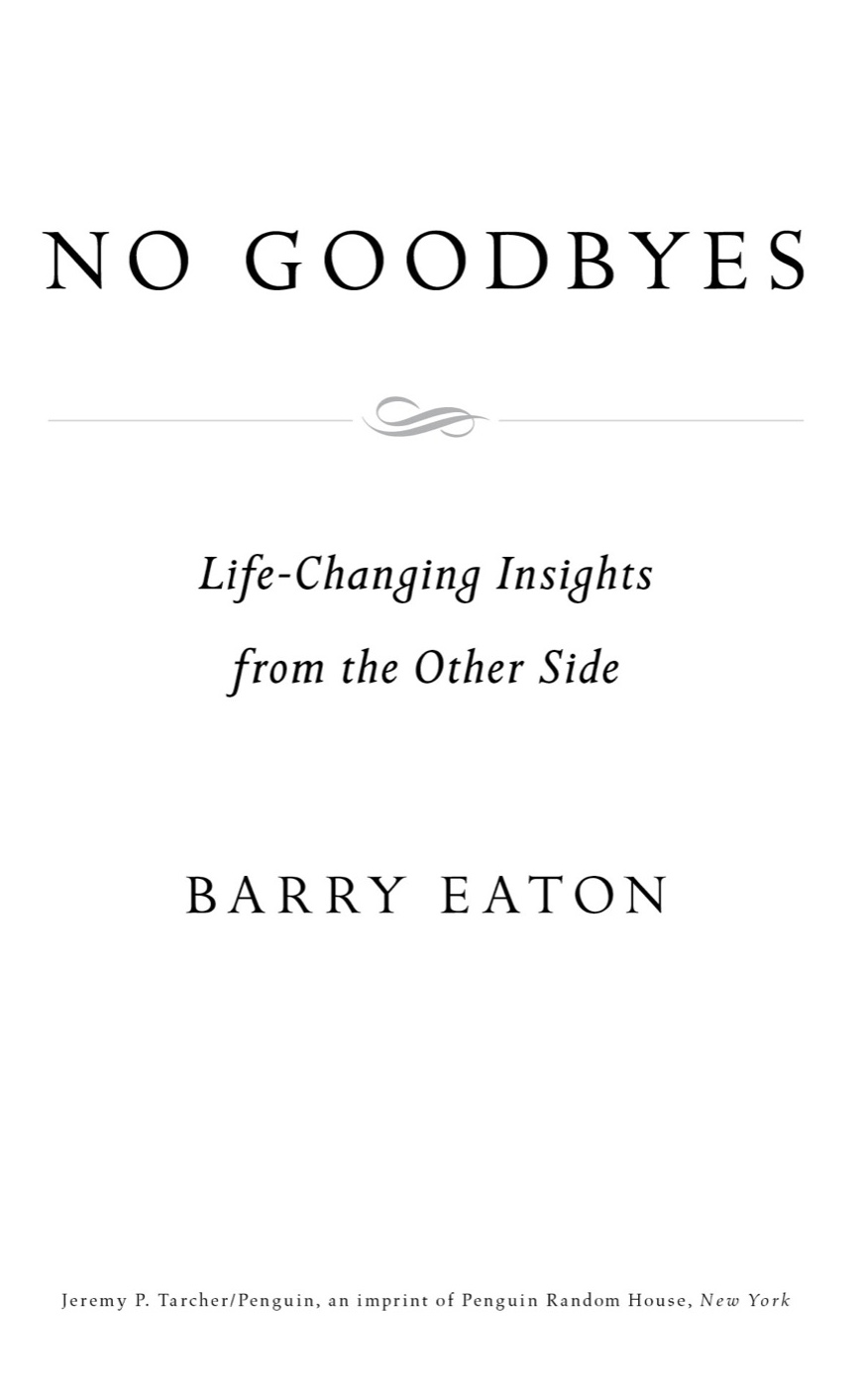 No Goodbyes Life-Changing Insights from the Other Side - image 2