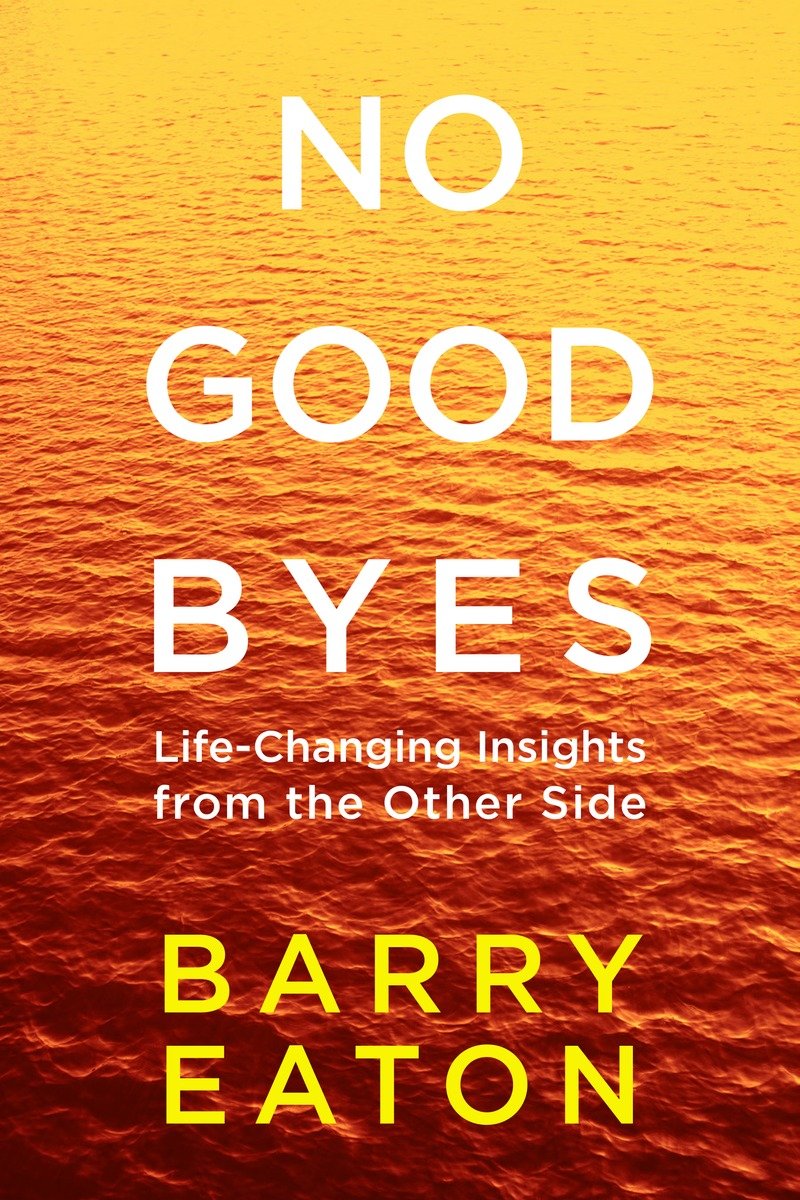 No Goodbyes Life-Changing Insights from the Other Side - image 1