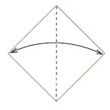 Valley-fold in half corner to corner and unfold Valley-fold the bottom - photo 17