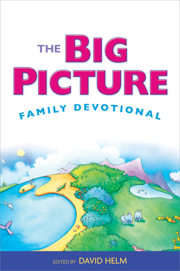 The Big Picture Family Devotional - image 1