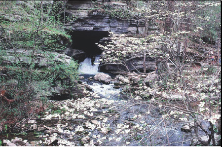 Blanchard Springs Caverns in the OzarkSt Francis National Forests Arkansas - photo 3