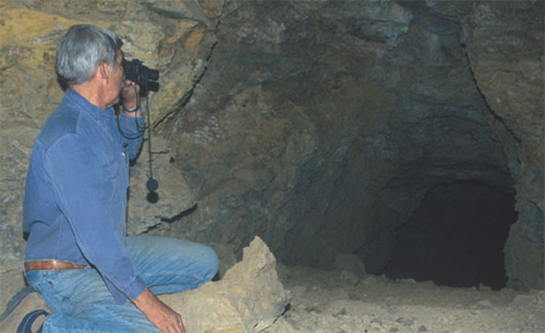 BATS OF THE UNITED STATES AND CANADA INTRODUCTION Bats are among the most - photo 4